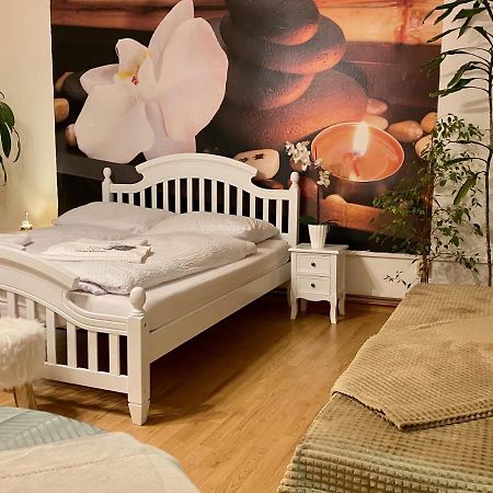 Beauty-Spa Apartment Decin Extérieur photo