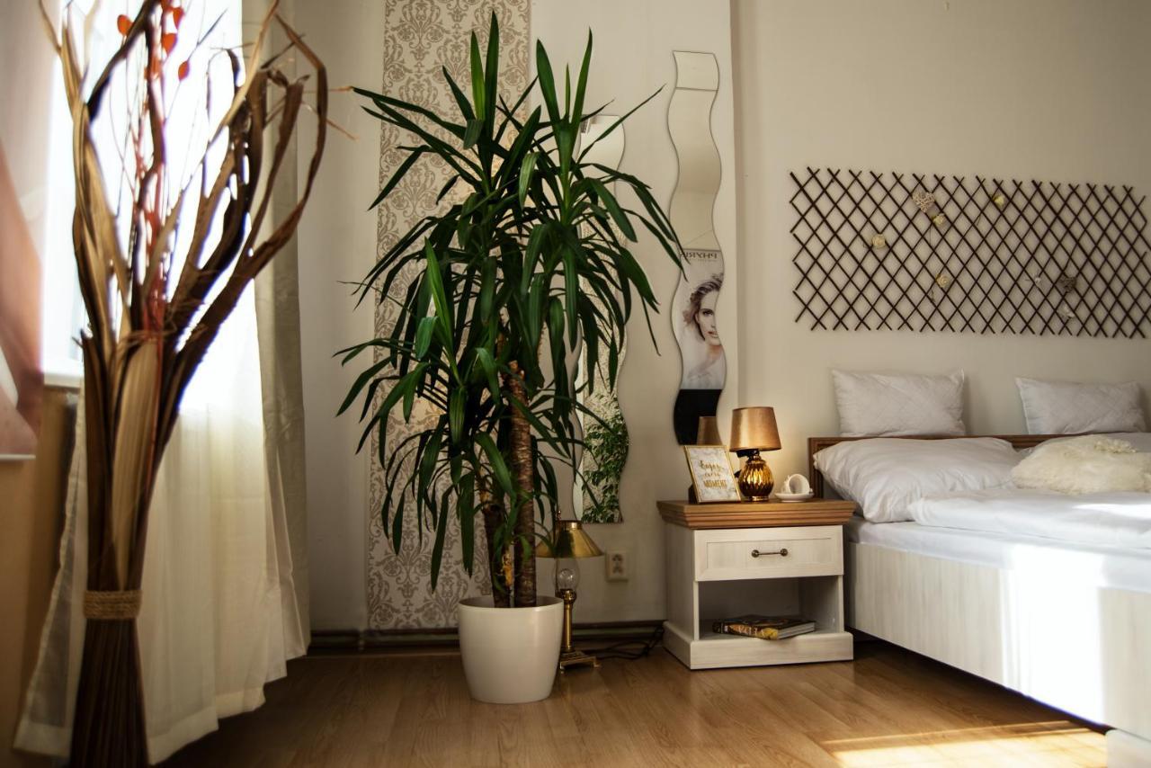 Beauty-Spa Apartment Decin Extérieur photo