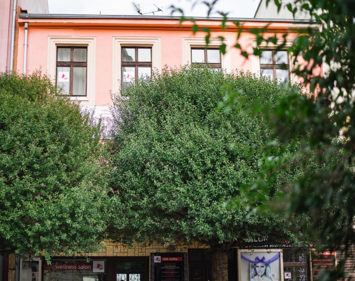 Beauty-Spa Apartment Decin Extérieur photo