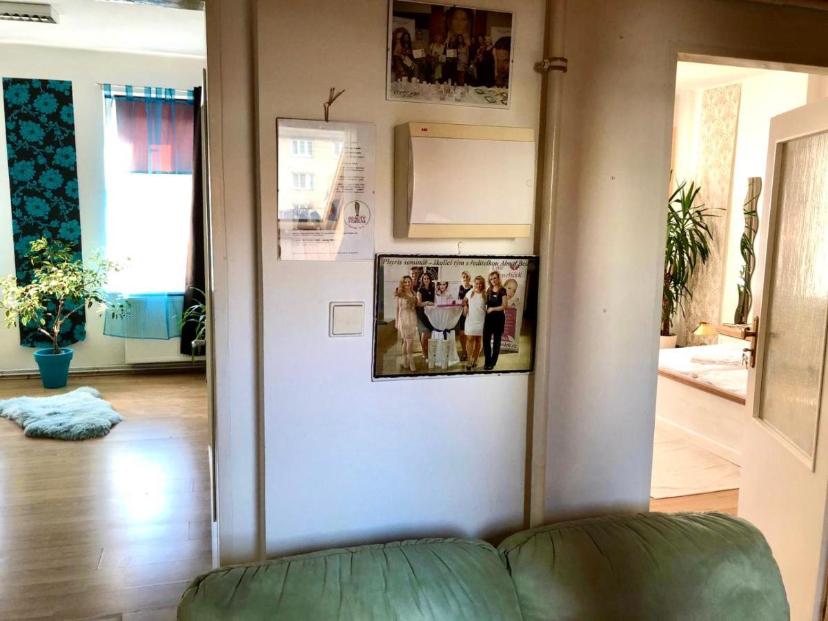 Beauty-Spa Apartment Decin Extérieur photo