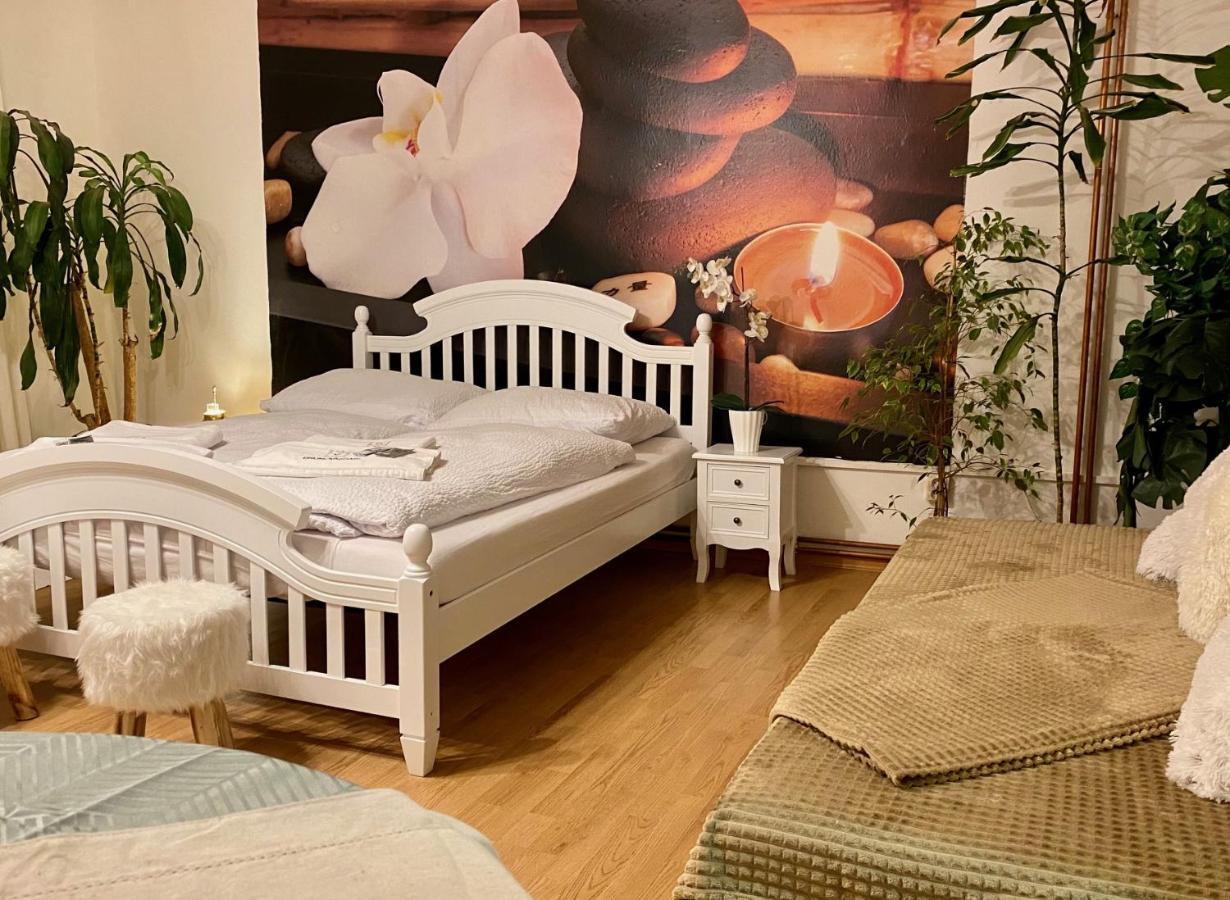 Beauty-Spa Apartment Decin Extérieur photo